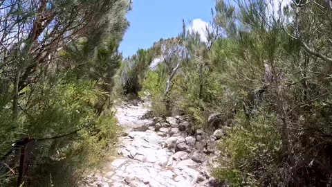 Mount Coolum Summit Trail: steep climb with rock steps and coastal views of.. Stock-Footage 295240767