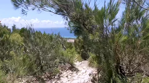 Mount Coolum Summit Trail: steep climb with rock steps and coastal views of.. Stock Footage 295240846