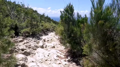 Mount Coolum Summit Trail: steep climb with rock steps and coastal views of.. Stock Footage 295240980