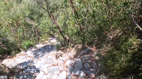Mount Coolum Summit Trail: steep climb with rock steps and coastal views of.. Stock Footage 295241530