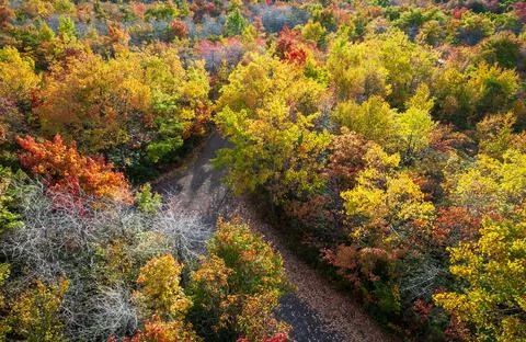 Mount Davis in Forbes State Forest, Pennsylvania Stock Photos