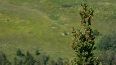 Mount different frames Stock Footage 11688380