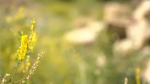 Mount different frames Stock Footage 11691322