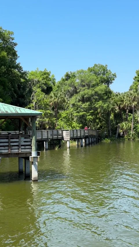 Mount Dora, Florida, USA - 05 09 2024: Walking tour Mount Dora Stock Footage 320822803
