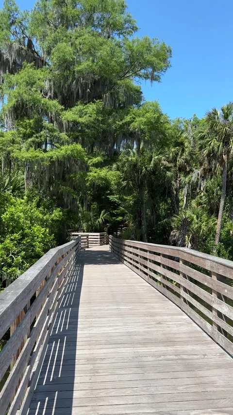Mount Dora, Florida, USA - 05 09 2024: Walking tour Mount Dora Stock Footage 320822804