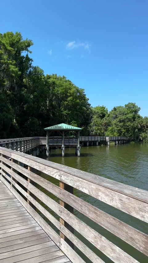 Mount Dora, Florida, USA - 05 09 2024: Walking tour Mount Dora Stock Footage 320822806