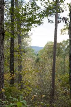 Mount Driskell Stock Photos