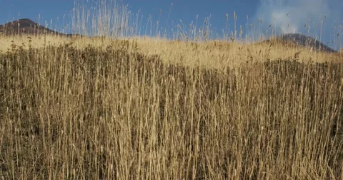 Mount Etna Stock Footage 149939809