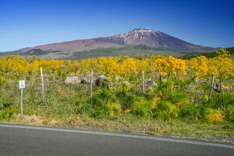 Mount Etna landscape with volcano craters in Sicily Stock Photos