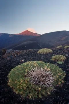 Mount Etna Stock Photos