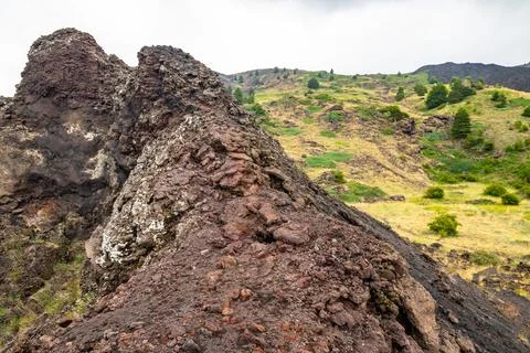 Mount Etna volcanic landscape and its typical summer vegetation Stock Photos