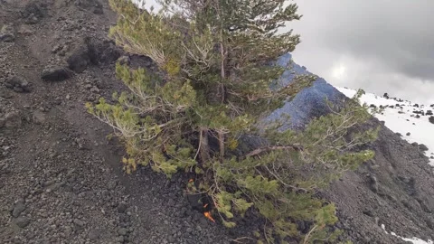 Mount Etna volcano eruption 2025 Stock Footage 303010232