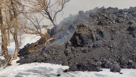 Mount Etna volcano eruption 2025 lava flow inside the forest Stock Footage 303010353