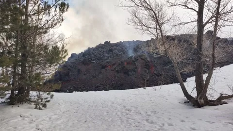 Mount Etna volcano eruption 2025 lava flow inside the forest Stock Footage 303010357