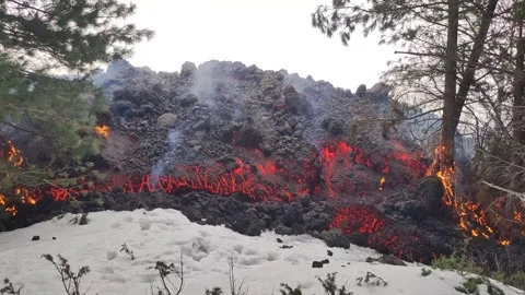 Mount Etna volcano eruption 2025 lava flow inside the forest Stock Footage 303010368