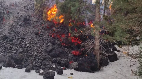 Mount Etna volcano eruption 2025 lava flow inside the forest Stock Footage 303010404