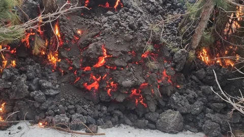 Mount Etna volcano eruption 2025 lava flow inside the forest Stock Footage 303010412