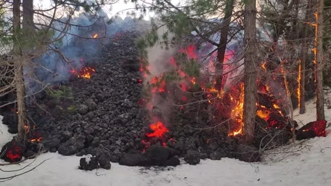Mount Etna volcano eruption 2025 lava flow inside the forest Stock Footage 303010417