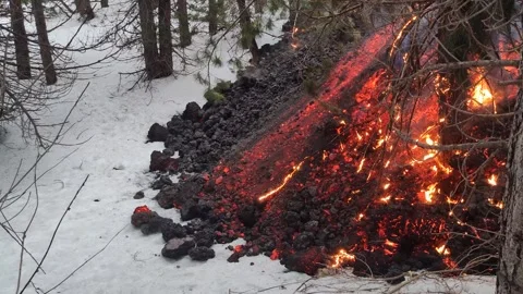 Mount Etna volcano eruption 2025 lava flow inside the forest Stock Footage 303010425