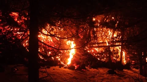Mount Etna volcano eruption 2025 lava flow inside the forest Stock Footage 303010433