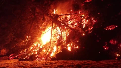 Mount Etna volcano eruption 2025 lava flow inside the forest Stock Footage 303010443
