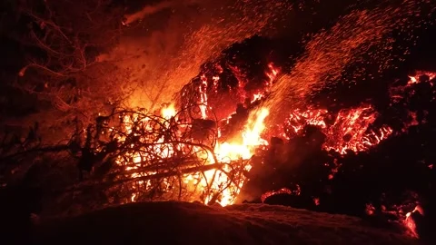 Mount Etna volcano eruption 2025 lava flow inside the forest Stock Footage 303010450