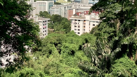 Mount faber Stock Footage 141589268