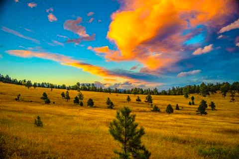 Mount Falcon Stock Photos