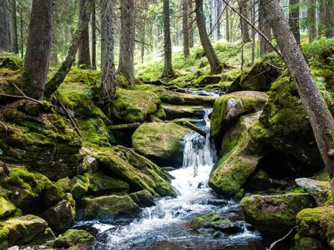 Mount forest waterfall between mossy rocks Stock Photos