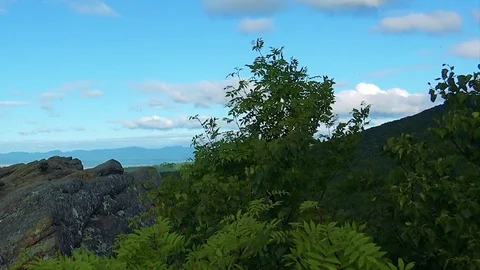 Mount Frog on Sakhalin Island Stock Footage 73834266