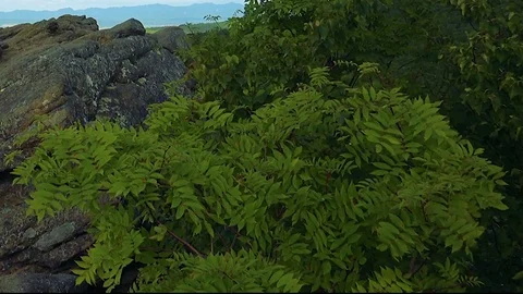 Mount Frog on Sakhalin Island Stock Footage 73834378