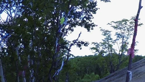 Mount Frog on Sakhalin Island Stock Footage 73834413