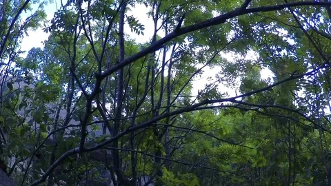 Mount Frog on Sakhalin Island Stock Footage 73834426