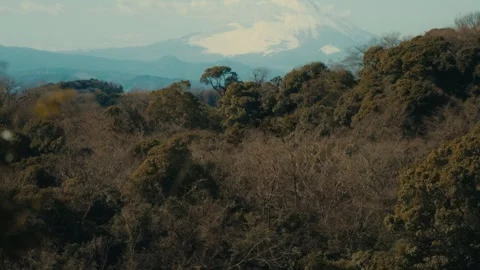 Mount Fuji Above Forested Ridgeline at Hansobo Shrine, Kamakura, Japan Stock Footage 344037389