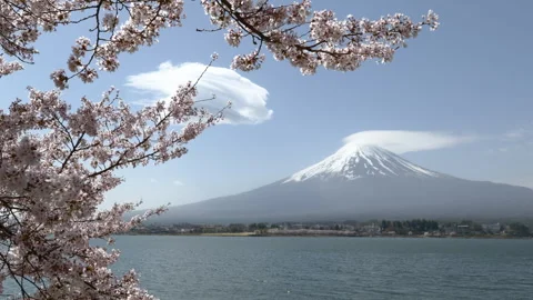 Mount Fuji and Cherry Blossoms with Lenticular Clouds at Lake (Realtime/ZOOM IN) Stock Footage 340070381