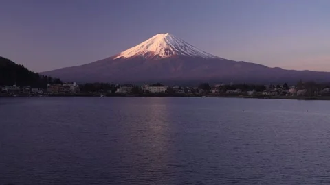 Mount Fuji and Cherry Blossoms in Full Bloom at Lake Kawaguchi Video stock 343046932