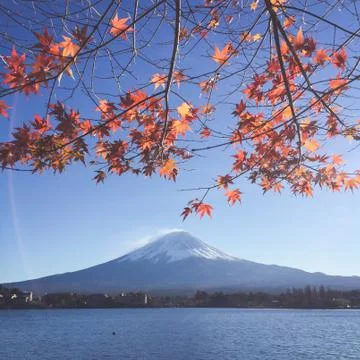 Mount Fuji and sakura in spring at Kawaguchiko, japan. Cherry blossom Sakura. Stock Photos
