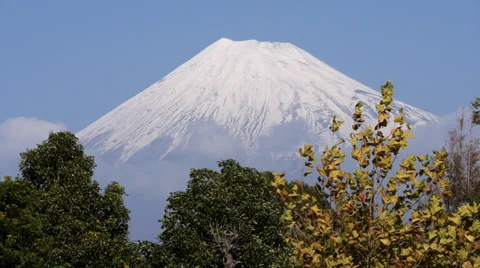 Mount Fuji and Trees Vídeos de archivo 32849311