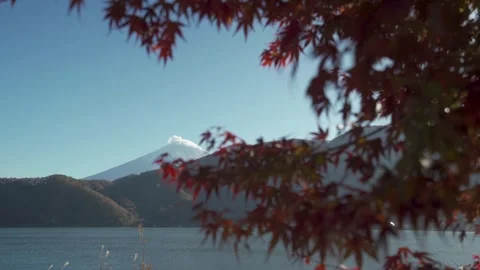 Mount Fuji Autumn Red Maple Leaves and Lake Kawaguchiko Shoreline 4K Stock-Footage 332135986