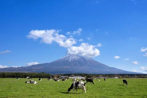 Mount Fuji at the background Stock Photos