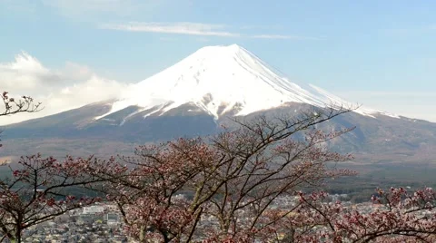 Mount Fuji with cherry blossom Stock Footage 40648270