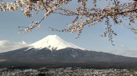 Mount Fuji with cherry blossom Stock Footage 40648349