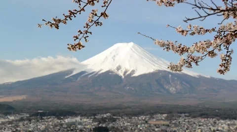 Mount Fuji with cherry blossom Stock Footage 40648380