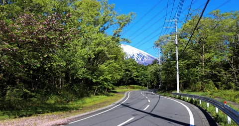 Mount Fuji 動画素材 295755647