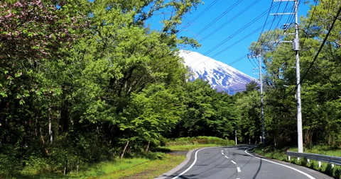 Mount Fuji 動画素材 295755766