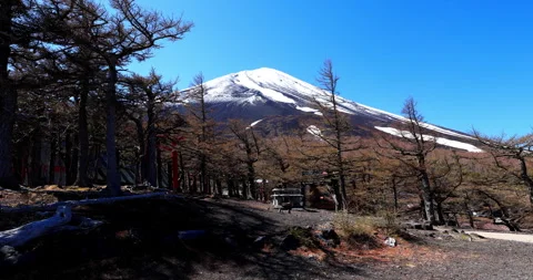 Mount Fuji Stock Footage 295756400