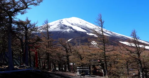 Mount Fuji Stock Footage 295756689