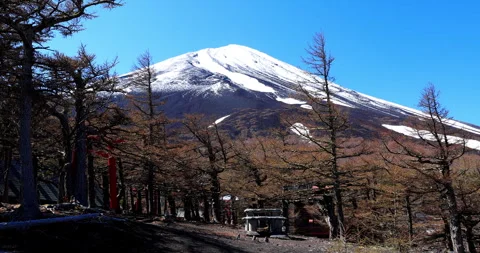 Mount Fuji 動画素材 295756755
