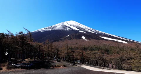 Mount Fuji 스톡 동영상 295756985