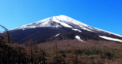 Mount Fuji 動画素材 295757347